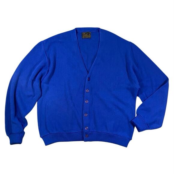 Vintage 70s Mr.Rogers JCPenny Orion Blue Button Cardigan - L - Picture 1 of 4